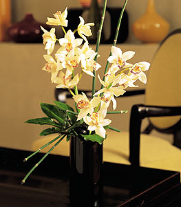  Bursa Abc iek iekiler  cam yada mika vazo ierisinde dal orkide