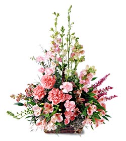  Bursa Abc çiçek ucuz çiçek gönder  mevsim çiçeklerinden özel