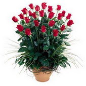  Bursa Abc çiçek uluslararası çiçek gönderme  10 adet kirmizi gül cam yada mika vazo