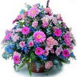 karisik mevsim kir çiçekleri  Bursa Abc çiçek çiçek gönderme sitemiz güvenlidir 