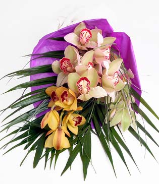  Bursa Abc iek cicekciler , cicek siparisi  1 adet dal orkide buket halinde sunulmakta