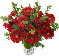 5 adet kirmizi gül 5 adet gerbera aranjmani  Bursa Abc çiçek hediye çiçek yolla 