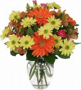  Bursa Abc çiçek hediye sevgilime hediye çiçek  vazo içerisinde karışık mevsim çiçekleri