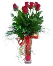 vazo içerisinde 5 kırmızı gül  Bursa Abc çiçek güvenli kaliteli hızlı çiçek 