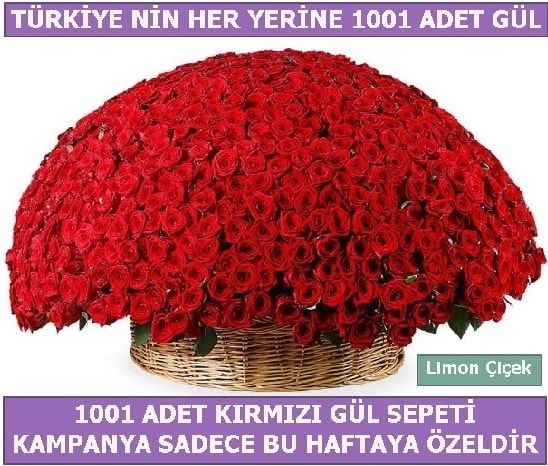 1001 Adet kırmızı gül Bu haftaya özel  Bursa Abc çiçek İnternetten çiçek siparişi 