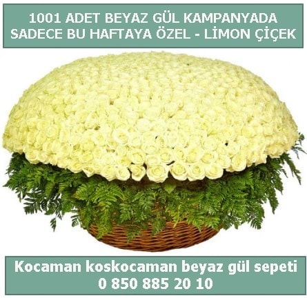 1001 adet beyaz gül sepeti özel kampanyada  Bursa Abc çiçek çiçek gönderme sitemiz güvenlidir 