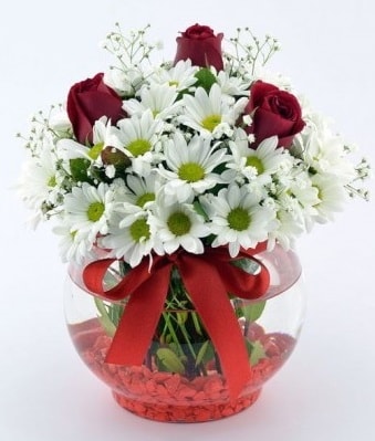Fanusta 3 Gül ve Papatya  Bursa Abc çiçek internetten çiçek satışı 