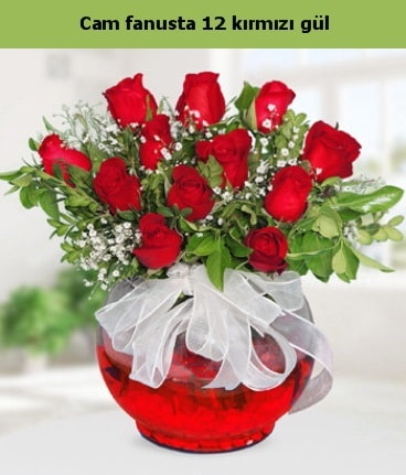 Cam içerisinde 12 adet kırmızı gül  Bursa Abc çiçek internetten çiçek satışı 