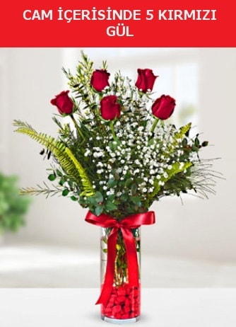 Cam içerisinde 5 adet kırmızı gül  Bursa Abc çiçek çiçek siparişi sitesi 