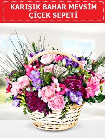 Karışık mevsim bahar çiçekleri  Bursa Abc çiçek ucuz çiçek gönder 